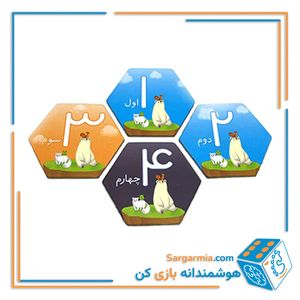 بازی فکری بومزی