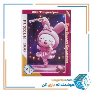 پازل 300 تکه جعبه ای رینگ کد 637