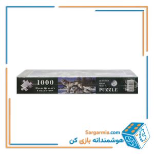 پازل رینگ 1000 تکه جعبه ای کد 366